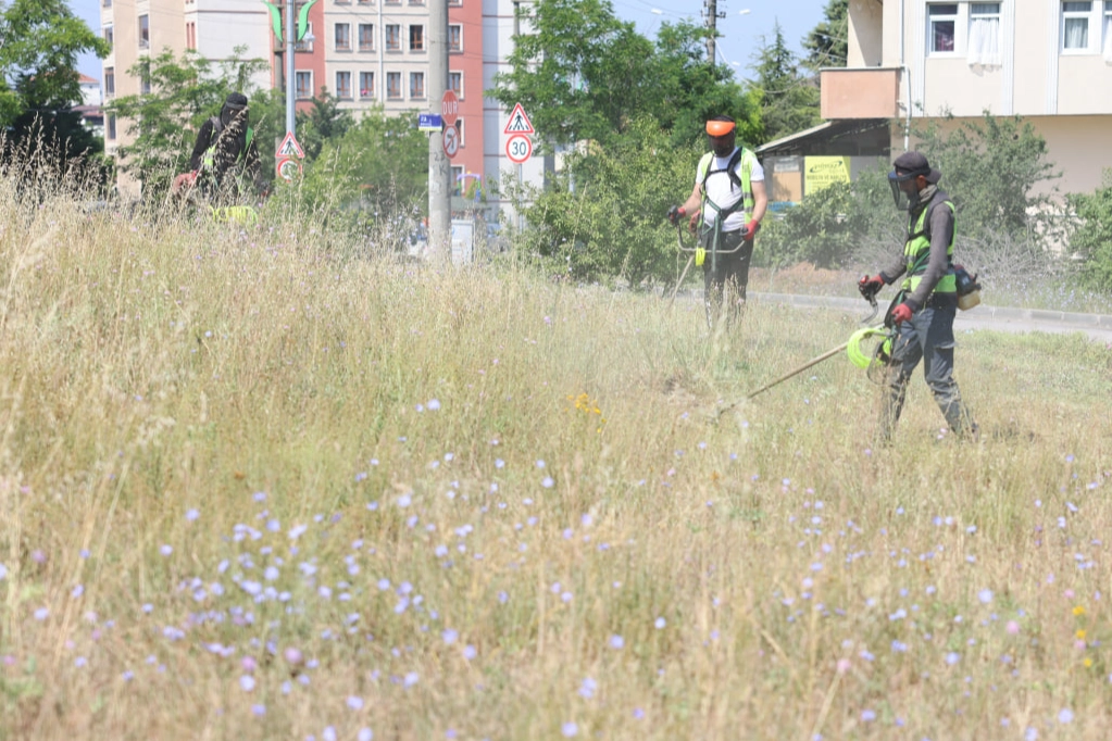 Çayırova'da boş arazilerdeki otlar biçiliyor