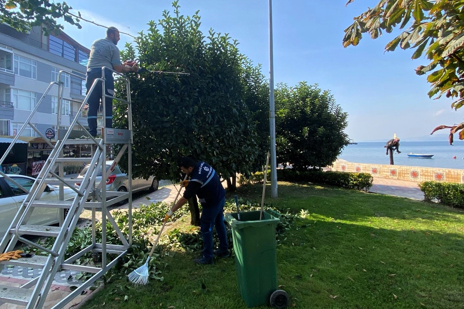 Kocaeli B&uuml;y&uuml;kşehir'den yeşil alanlara &ouml;zel bakım